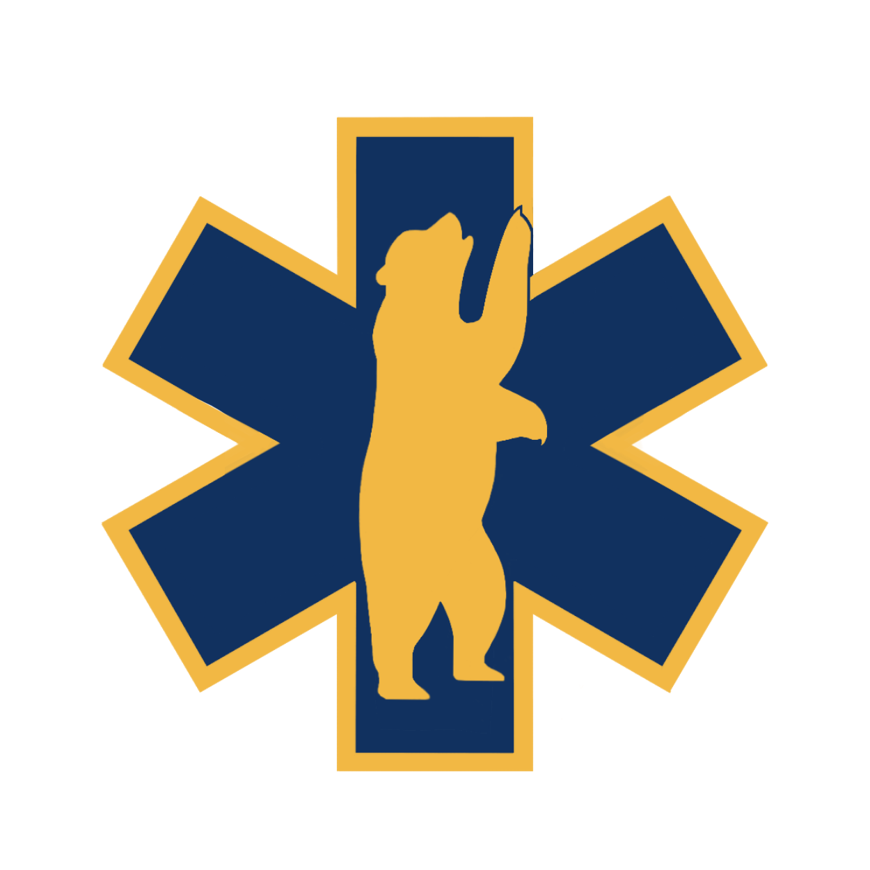 BMRC logo